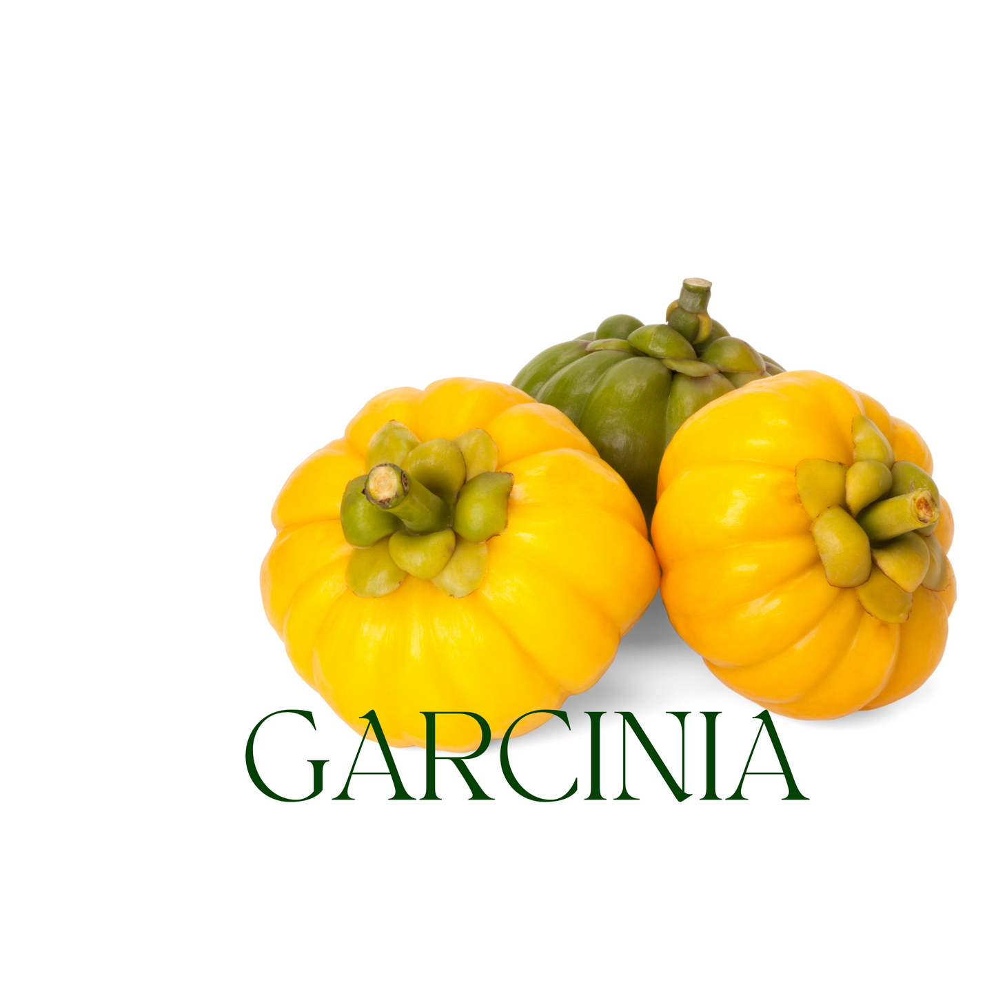 Garcinia Cambogia Powder