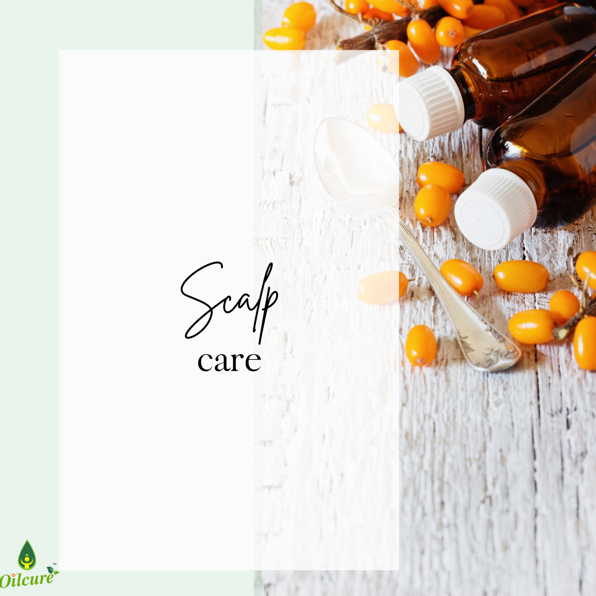 Sea Buckthorn Oil - 30 ml.