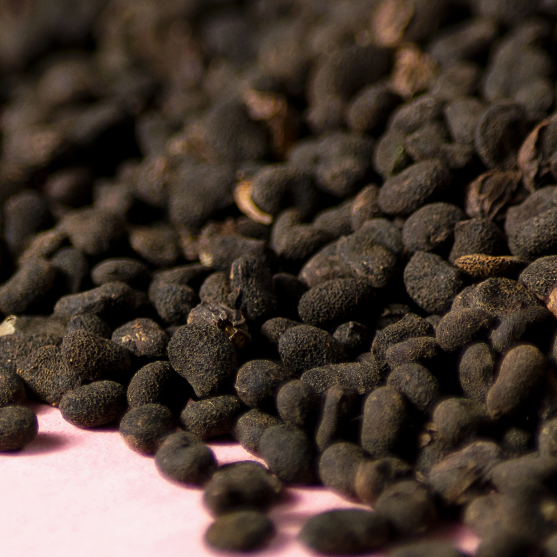 Bakuchi seeds