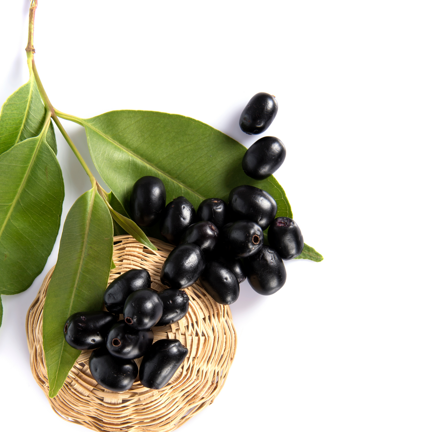 Syzygium Cumini uses