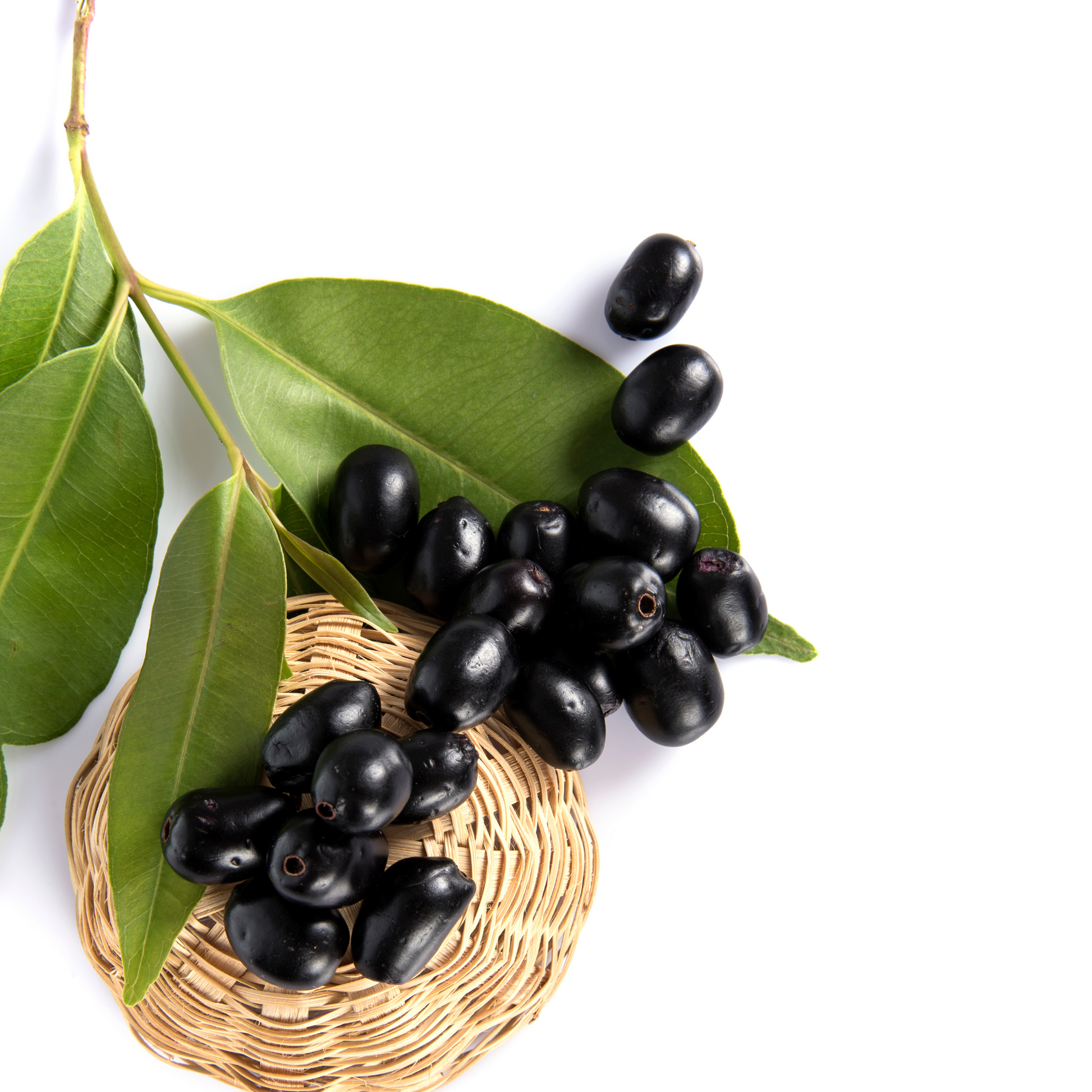Syzygium Cumini uses