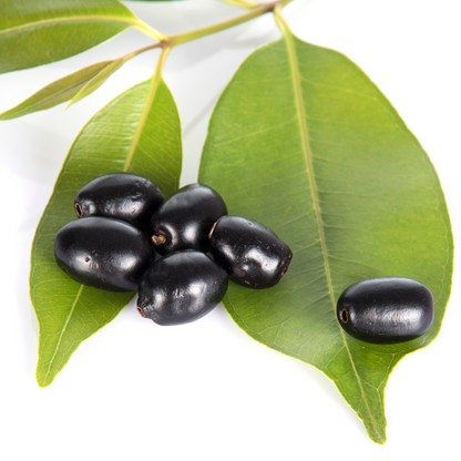 Syzygium Cumini 