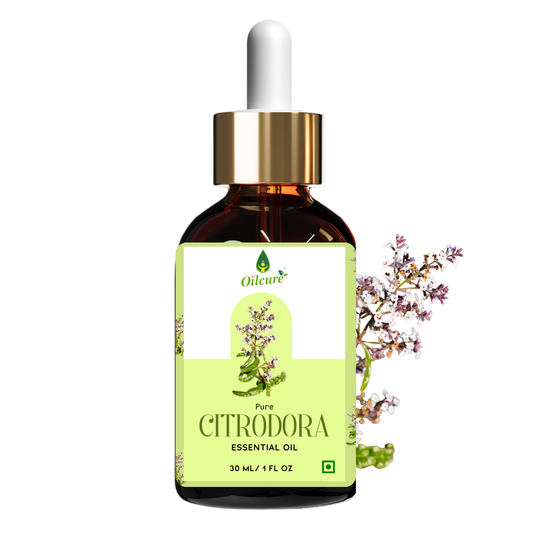 citodora essential oil