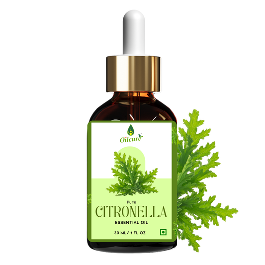Pure citronella oil