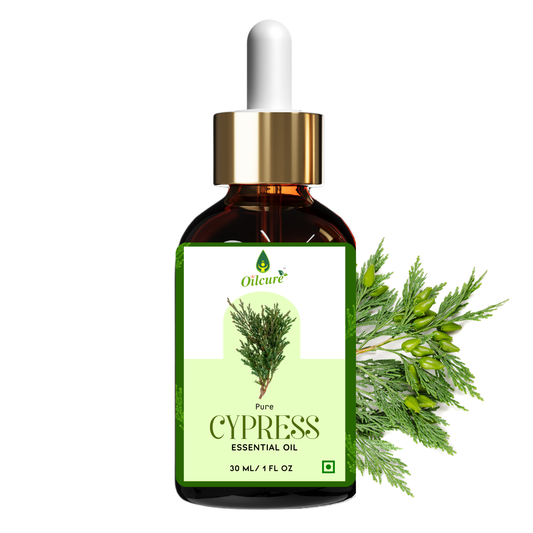 Cypress essential oil