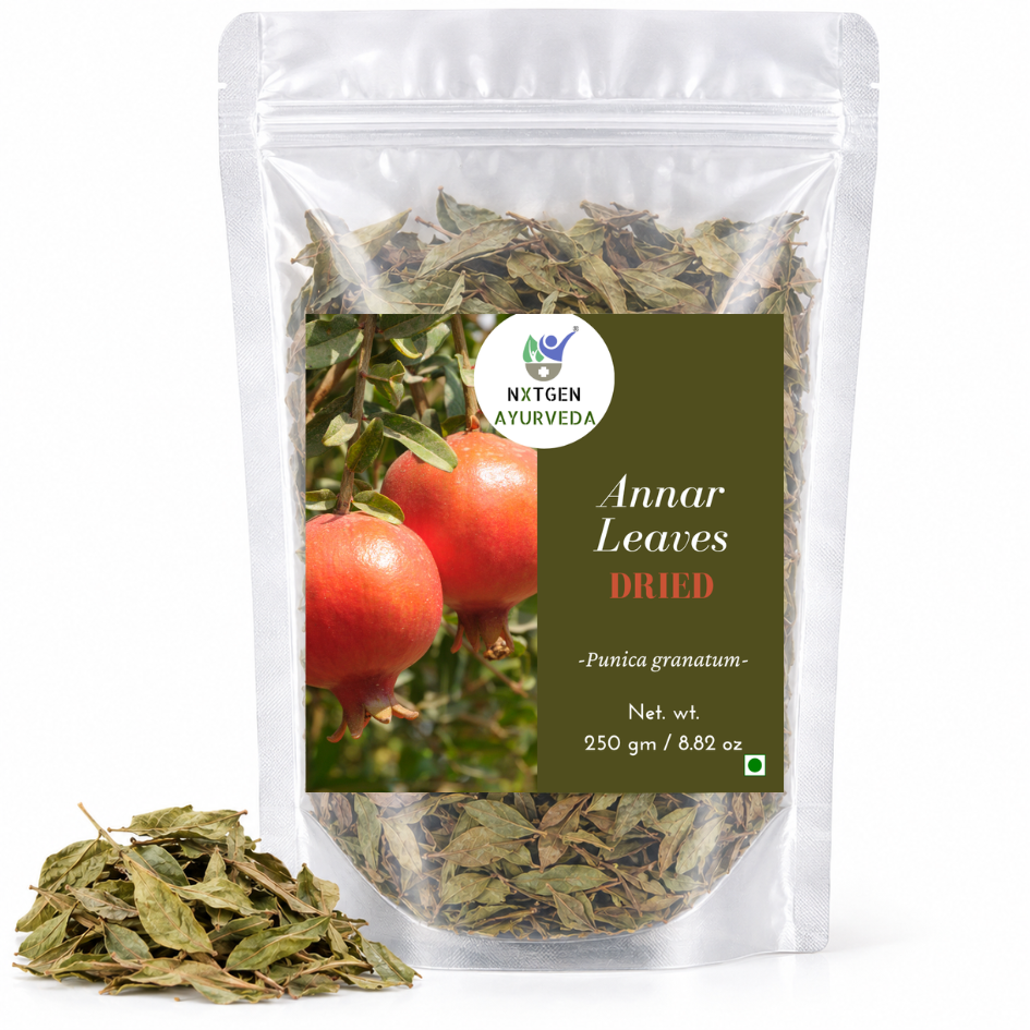 Premium Dried Annar (Pomegranate) Leaves in a transparent stand-up pouch with naturally dried leaves for traditional herbal and Ayurvedic use.