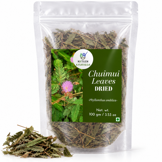 Premium Dried Chuimui (Mimosa Pudica) Leaves in a transparent stand-up pouch with naturally dried leaves for traditional Ayurvedic and herbal use.