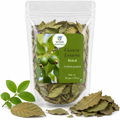 Premium Dried Guava Leaves in a transparent stand-up pouch with naturally dried guava leaves for herbal tea, infusion, and traditional use.