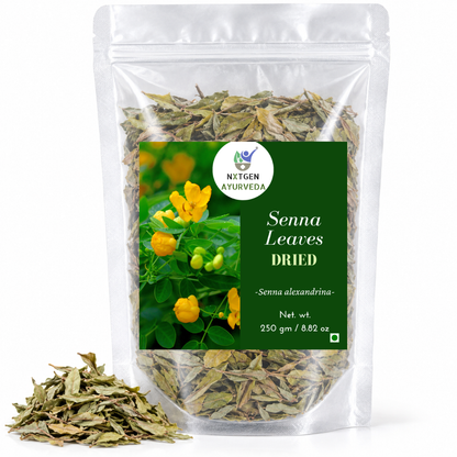 Premium Dried Senna Leaves in a transparent stand-up pouch with naturally dried senna leaves for traditional herbal use.