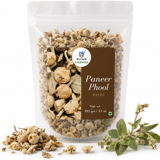Premium Paneer Phool 100 gms in a transparent stand-up pouch with natural dried Paneer Phool for traditional Indian culinary and herbal use.
