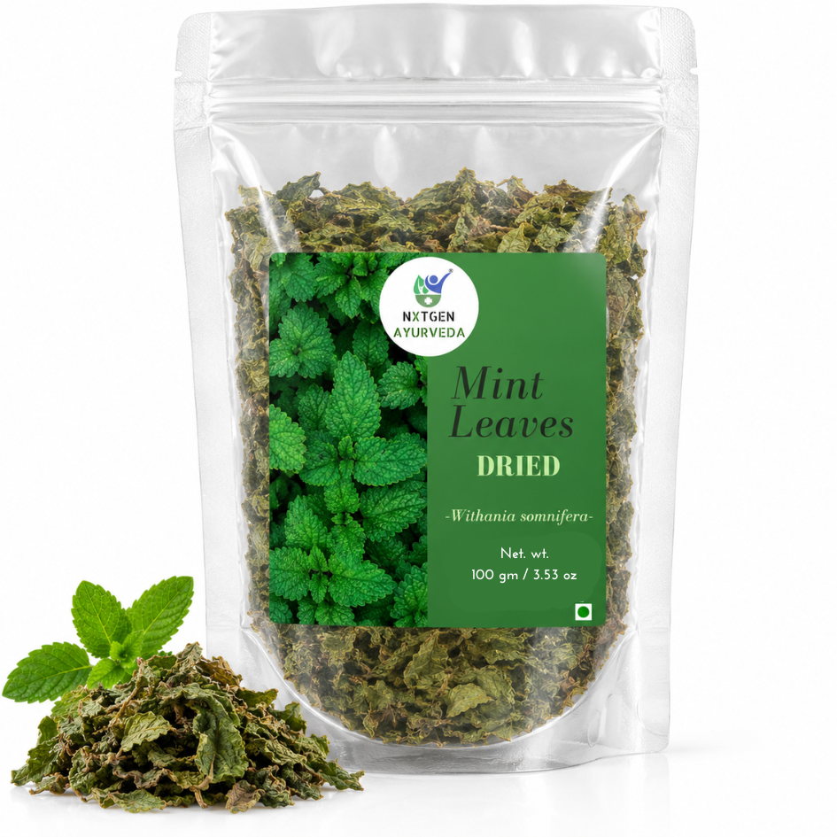 Premium Pudina (Mint) Leaves in a transparent stand-up pouch with naturally dried mint leaves for herbal tea, cooking, and seasoning.