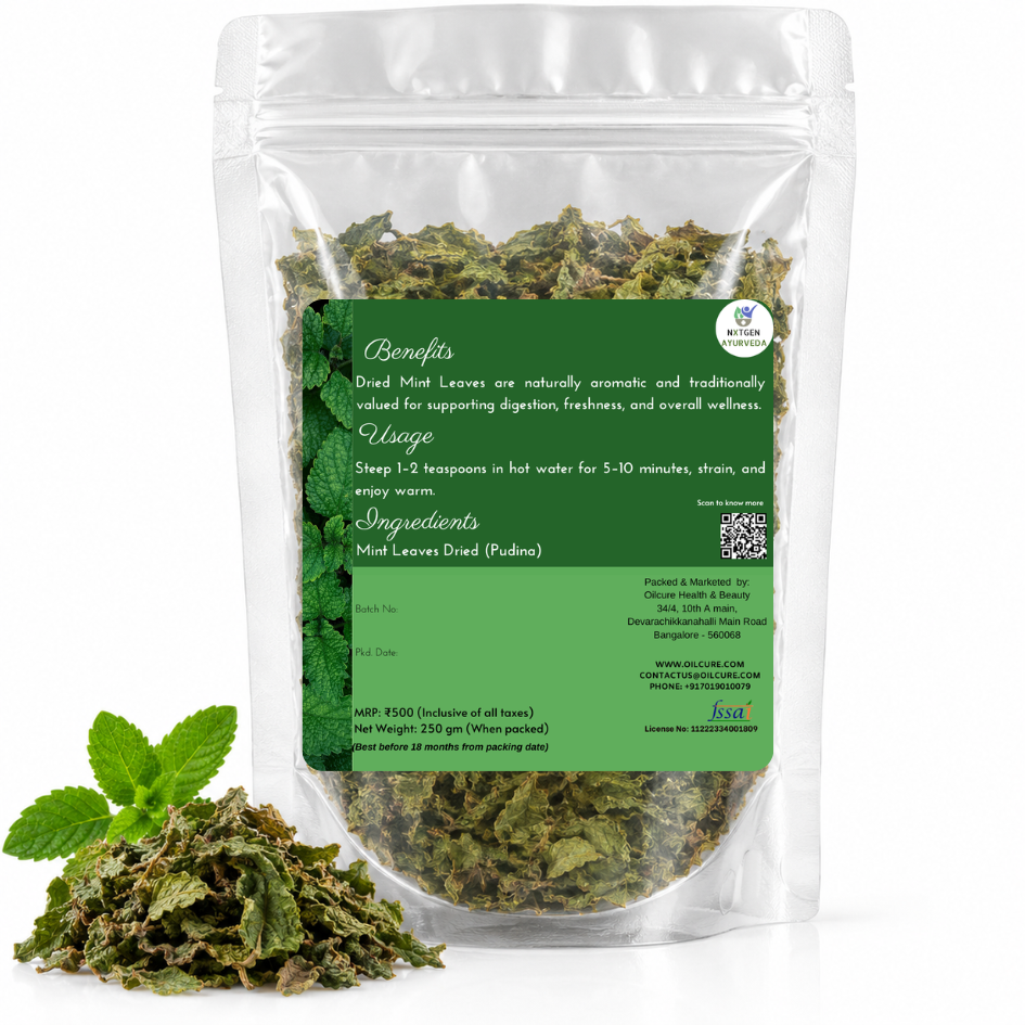 Premium Pudina (Mint) Leaves in a transparent stand-up pouch with naturally dried mint leaves for herbal tea, cooking, and seasoning.
