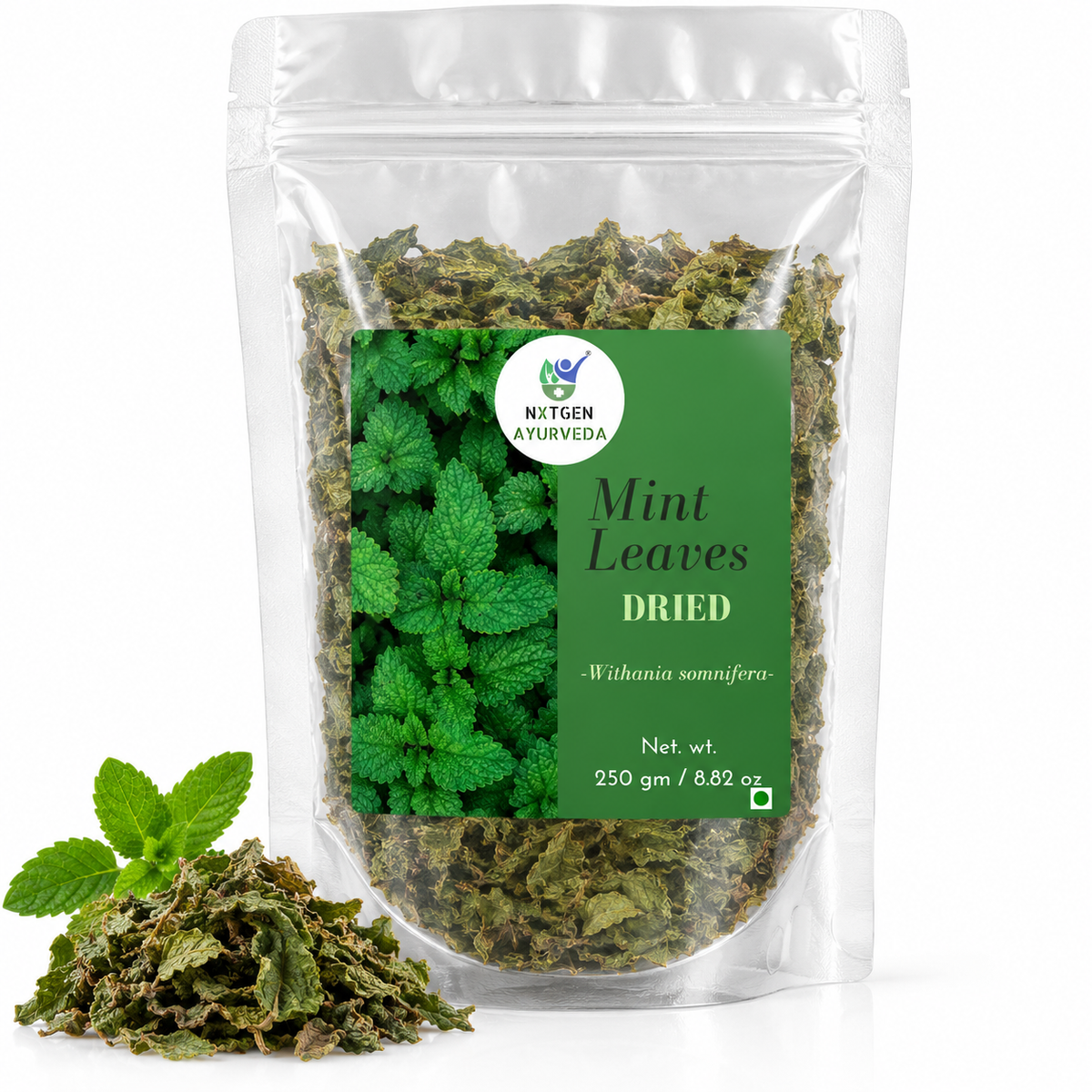 Premium Pudina (Mint) Leaves in a transparent stand-up pouch with naturally dried mint leaves for herbal tea, cooking, and seasoning.
