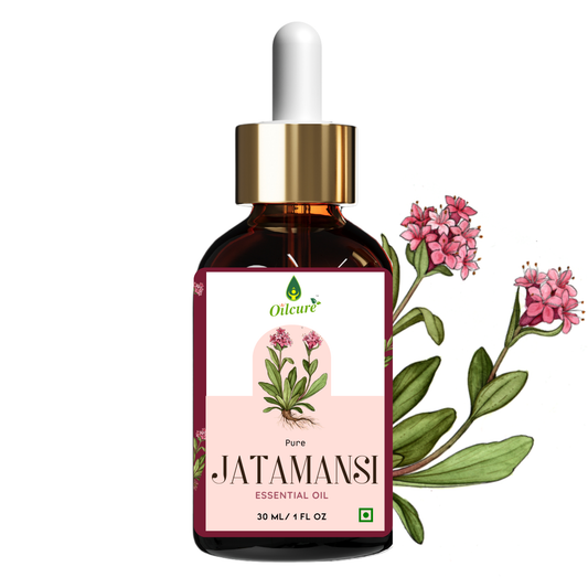 Jatamansi oil