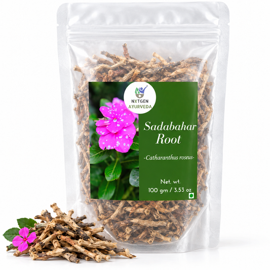 Premium Sadabahar Root in a transparent stand-up pouch with naturally dried herbal roots for traditional Ayurvedic and herbal use.
