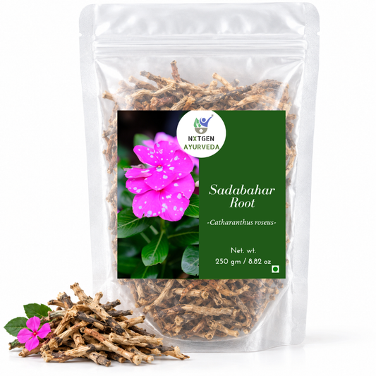 Premium Sadabahar Root in a transparent stand-up pouch with naturally dried herbal roots for traditional Ayurvedic and herbal use. 