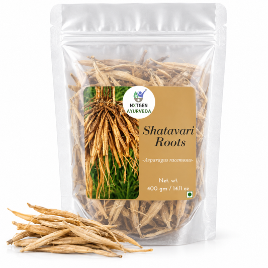 Premium Shatavari Roots in a transparent stand-up pouch with naturally dried Shatavari root pieces for traditional Ayurvedic and herbal use.