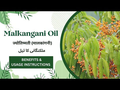 Malkangani Oil
