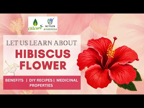 hibiscus powder benefits