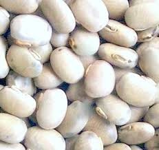 It is known for its medicinal properties and has been used in traditional Ayurvedic medicine for centuries