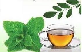 Digestive Support