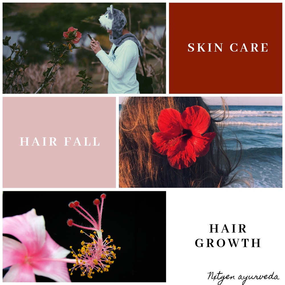 hibiscus for hair