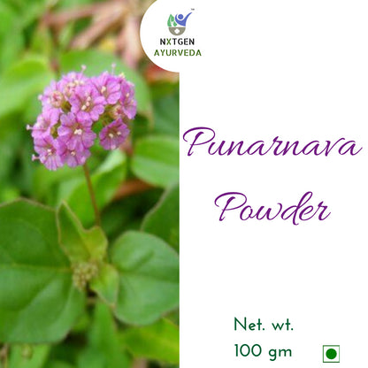 Punarnava Powder - 100 Gms