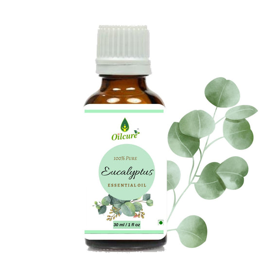 Eucalyptus Oil