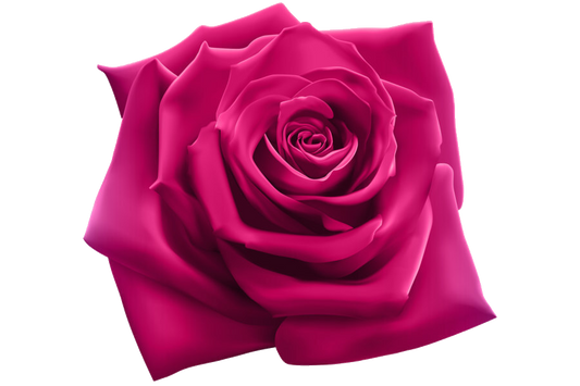 Rose Water Premium - 100 ml