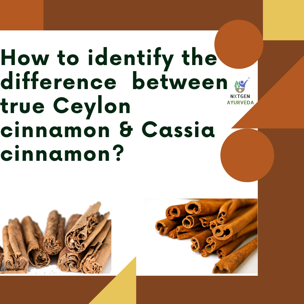 Ceylon Cinnamon Powder - 100g