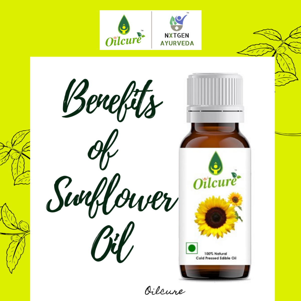 Virgin Sunflower Oil