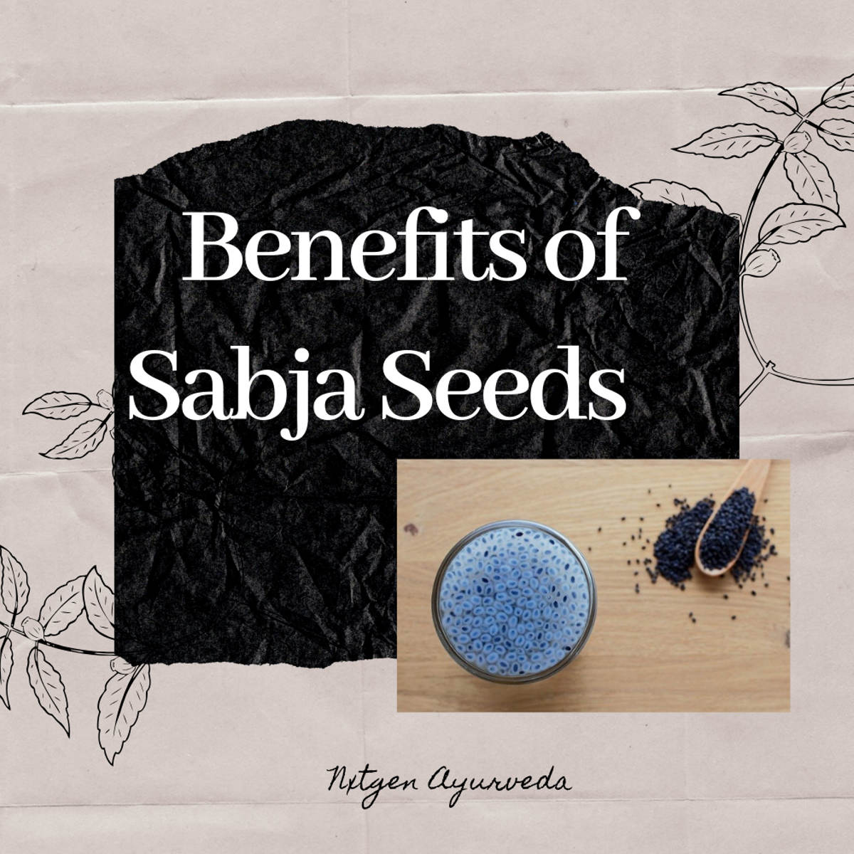 Benefits of sabja seeds