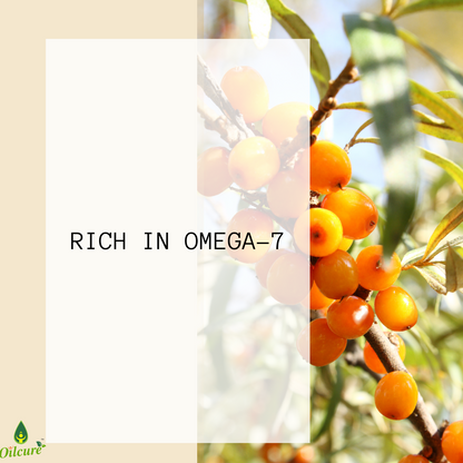 Sea Buckthorn Oil - 30 ml.
