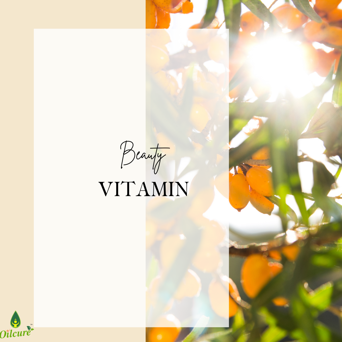 Sea Buckthorn Oil - 30 ml.